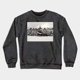 Winter Forest Crewneck Sweatshirt